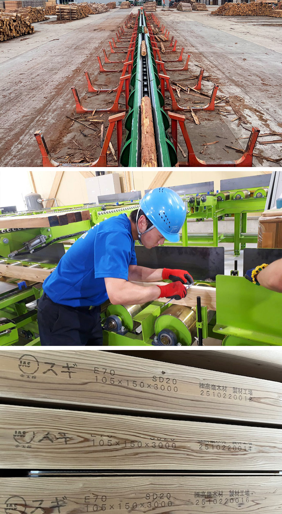 Takamine Wood sawmill and timber