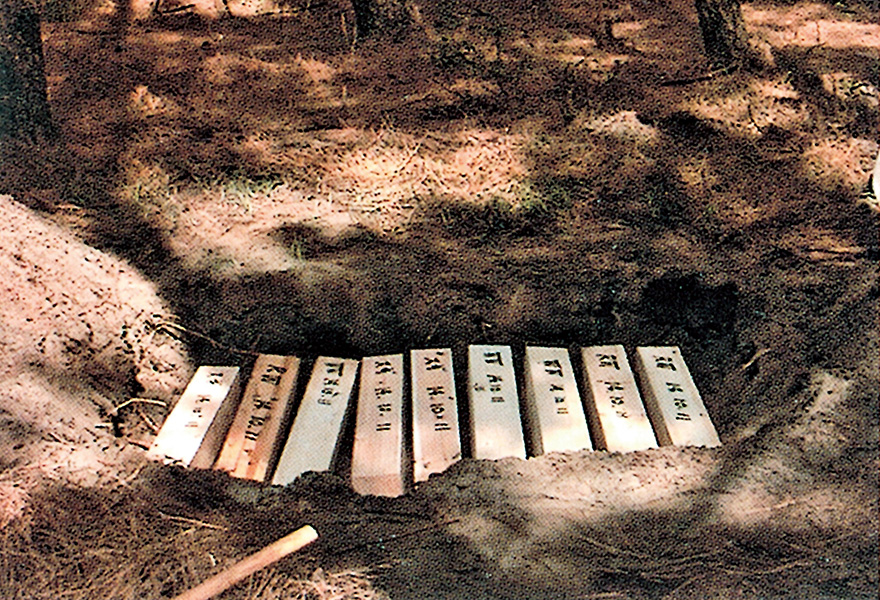 Soil burial test in a pine forest (Soil Burial Test / Ground Burial Test)