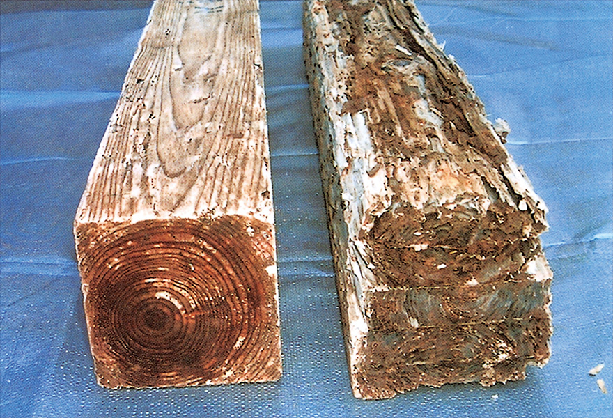 Soil burial test after 2 years (Soil Burial Test / Ground Burial Test)