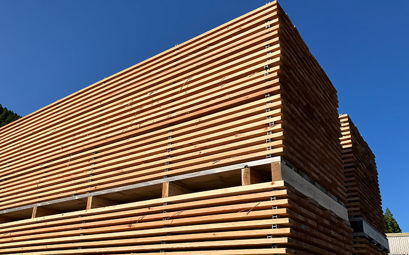 Air drying of Obi cedar lumber