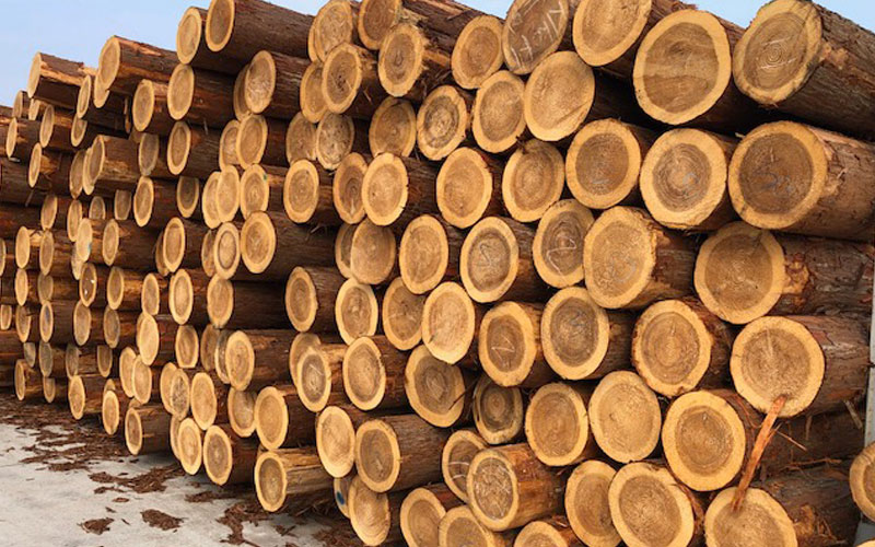 Log procurement